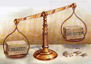 weighingcreation
