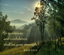 802de68370f2622d1d5a0480b8fa4667